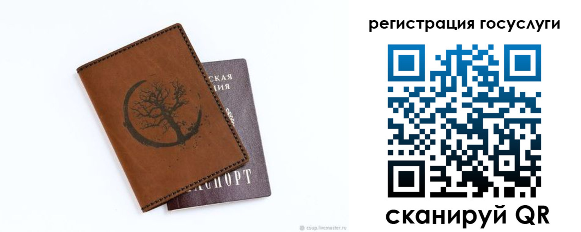 прописка для школы в Белово